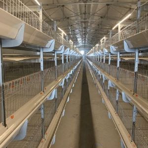 Cascade duck cage