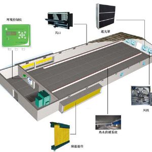 鸡舍效果图